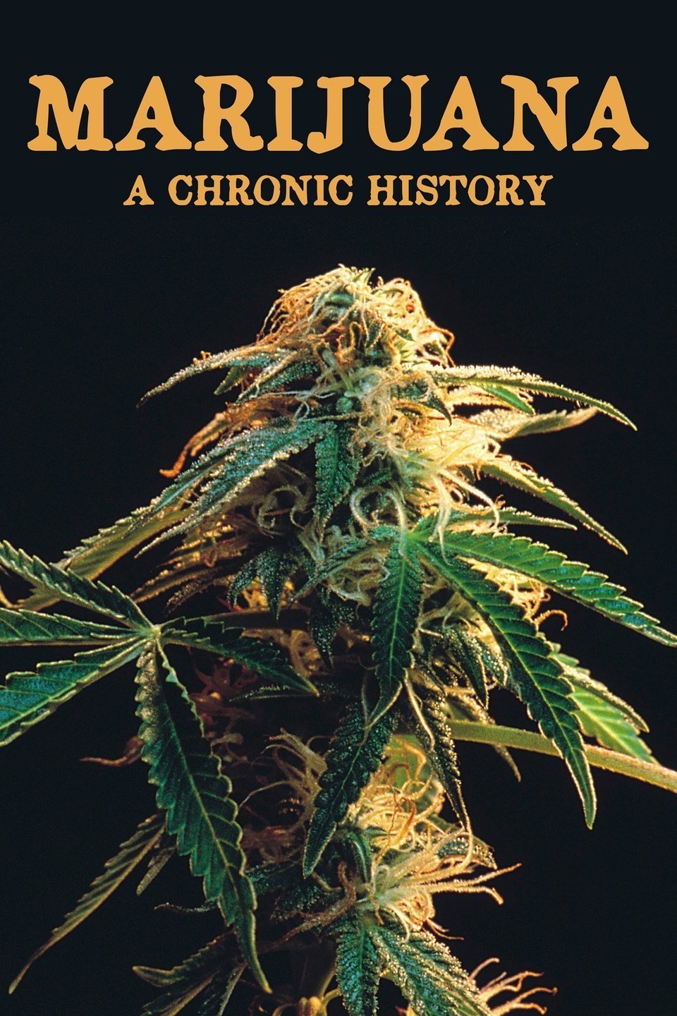 Постер Marijuana: A Chronic History